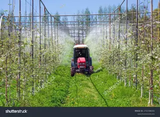 Draai de bewijslast om: verbied pesticiden, tenzij de noodzaak onomstotelijk vaststaat